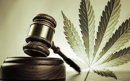 Cannabis legalization marijuana regulation Newman Mason Langenderfer 2021